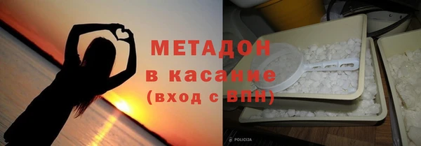 индика Алексин