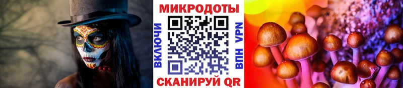 Псилоцибиновые грибы прущие грибы  Люберцы 
