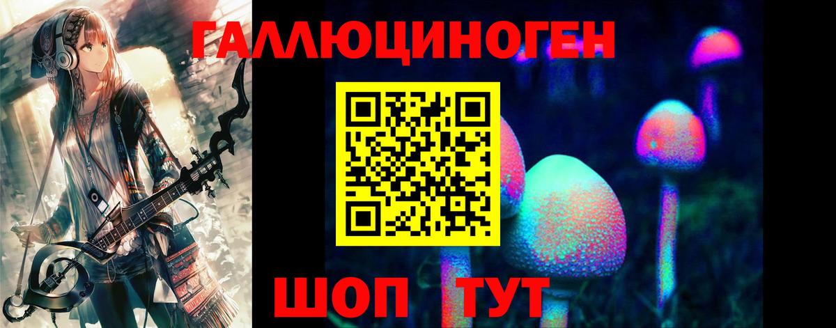 Галлюциногенные грибы Cubensis  где продают наркотики  Люберцы  Вход с VPN  Псилоцибиновые грибы прущие грибы 