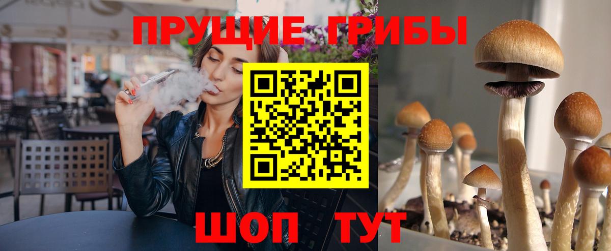 Галлюциногенные грибы Cubensis Люберцы
